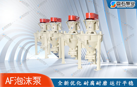 石家莊泵業(yè)：浮選泡沫泵